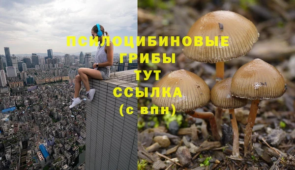 экстази Абаза