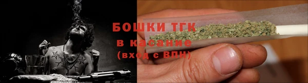 соль курить ск Новозыбков